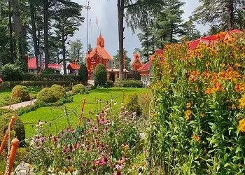 shimla